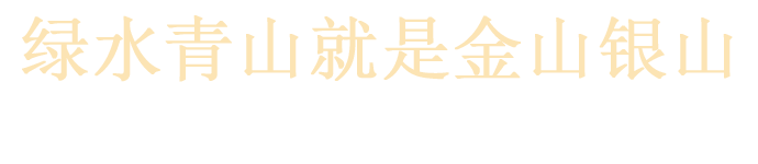 南宫国际